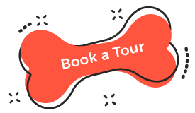 https://www.thedailydoody.com/wp-content/uploads/2019/08/book_tour.png